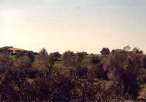 Landschaft in der N�he von Side
